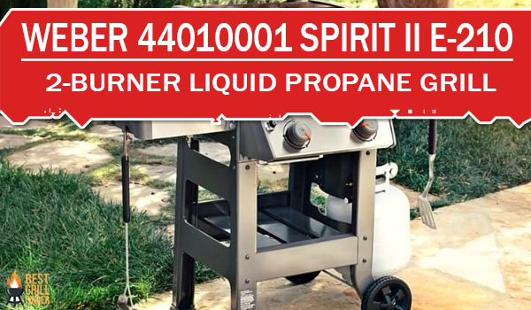 Weber 44010001 Spirit II E-210 2-Burner Liquid Propane Grill