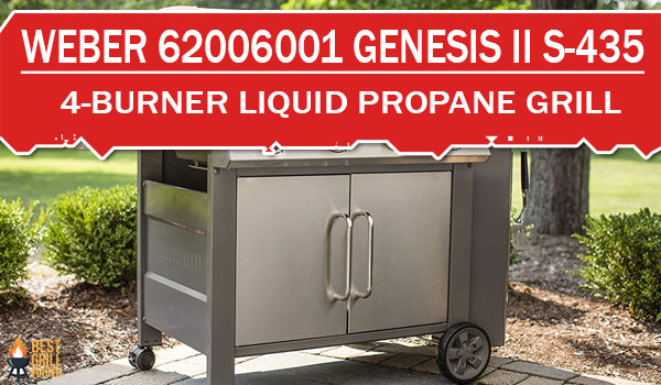 Weber 62006001 Genesis II S-435 4-Burner Liquid Propane Grill