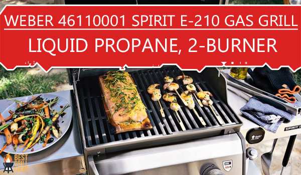 Weber 46110001 Spirit E-210 Gas Grill