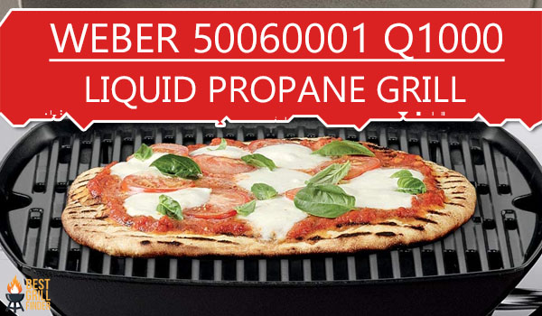 Weber 50060001 Q1000 Liquid Propane Grill