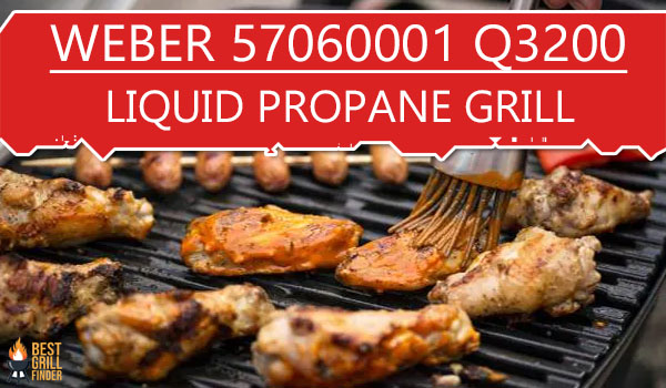 Weber 57060001 Q3200 Liquid Propane Grill