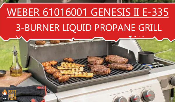 Weber 61016001 Genesis II E-335 3-Burner Liquid Propane Grill