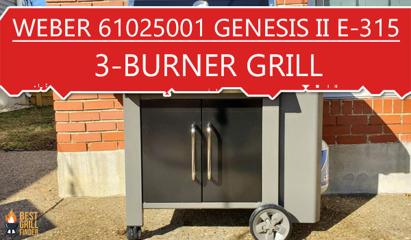 Weber 61025001 Genesis II E-315 3-Burner Grill