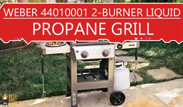 Weber 44010001 Spirit II E-210 2-Burner Liquid Propane Grill
