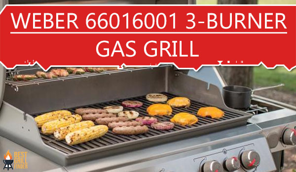 Weber 66016001 Genesis II E-335 3-Burner Natural Gas Grill