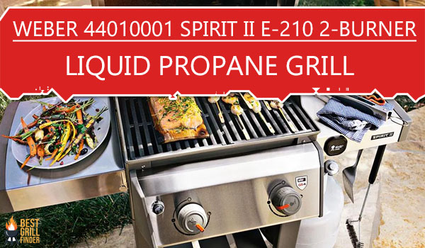 Weber 44010001 Spirit II E-210 2-Burner