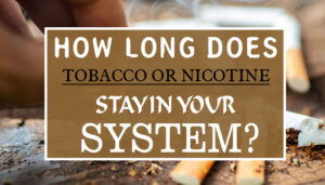 How Long Does Tobacco Or Nicotine Stay In Your System? » Rabbit Tobacco